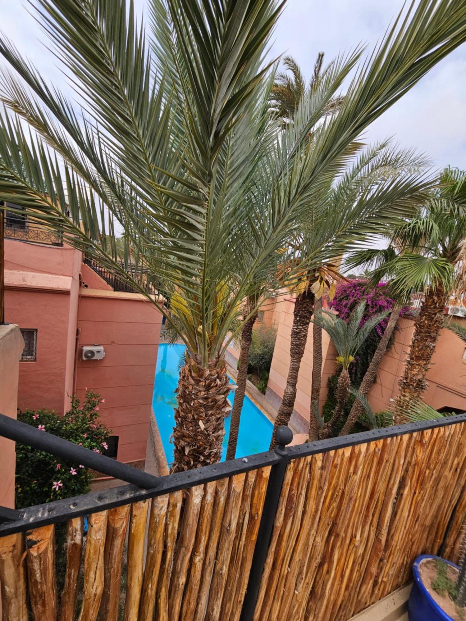 Duplex El Madina Villa Marrakesh Bagian luar foto